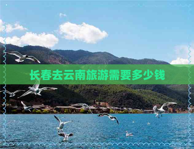 长春去云南旅游需要多少钱